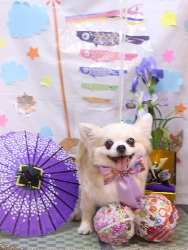 20240530クッキーくん